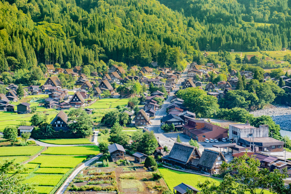 shutterstock_1167137545