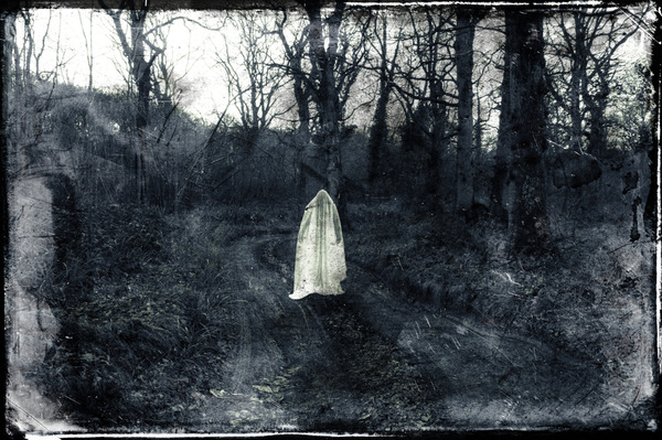 shutterstock_1332085844