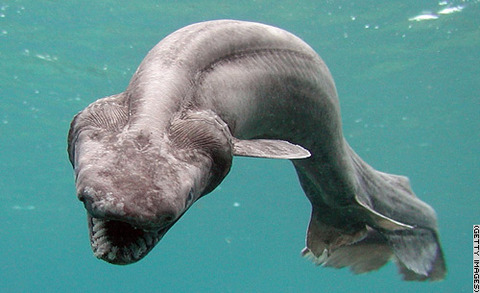 20111210165854_102_7