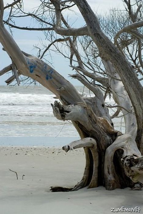 332295437ceff5757af7dbf8ea316636