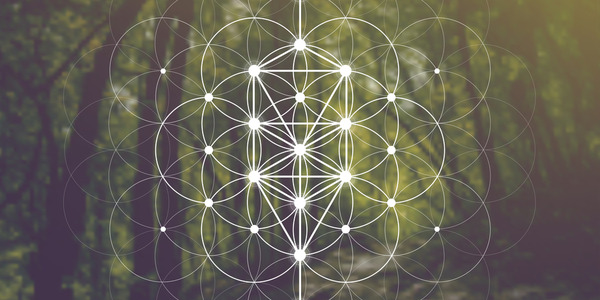 shutterstock_722982913