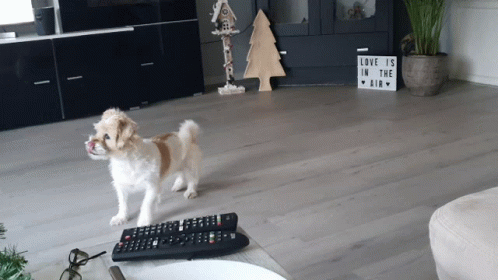 週末なんでおもしろ画像で夜更かししようぜ 不思議 Net