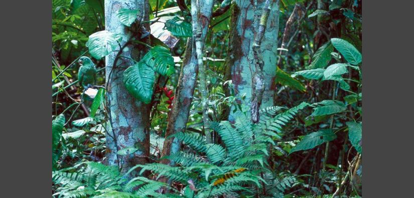 I2F20BDRPTQQT7K3-cp0x0x685x440-pad825x396xx444x