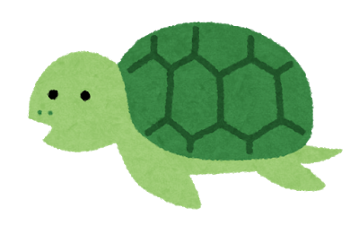 character_turtle_oya