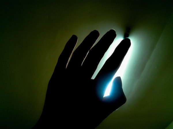 shutterstock_557219092