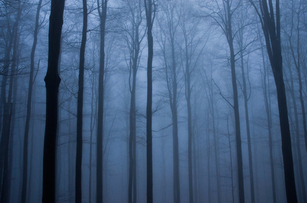 shutterstock_1558009079