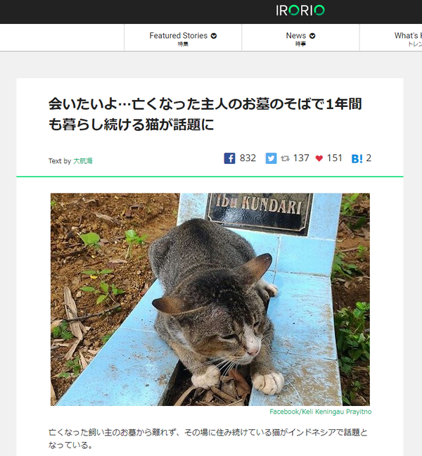 3f6767d295b4bb323cb4d9095af18e61