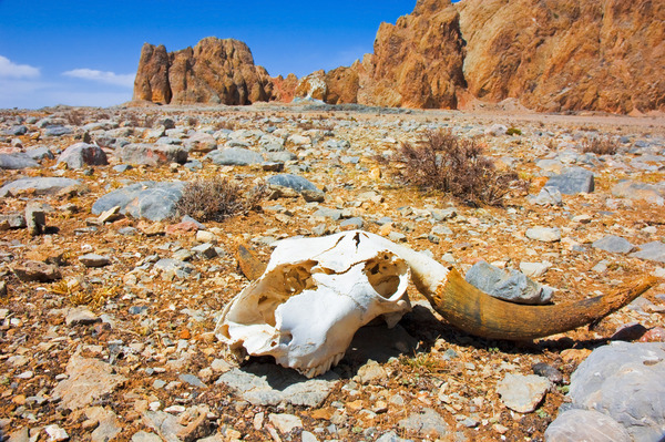 shutterstock_58522480