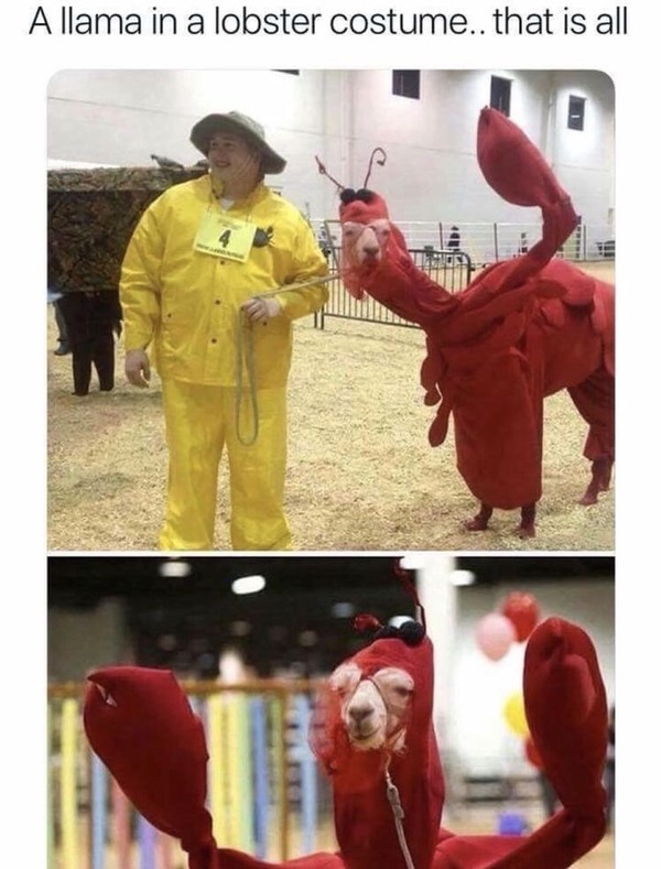 no title
