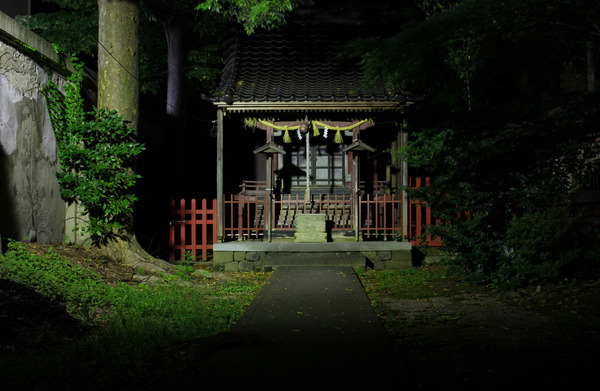 shutterstock_1340511602