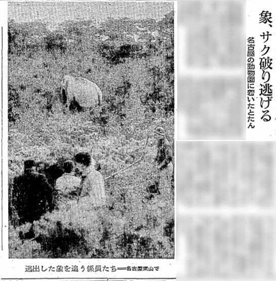 象1