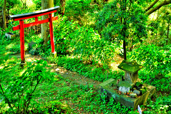 shutterstock_1645802176