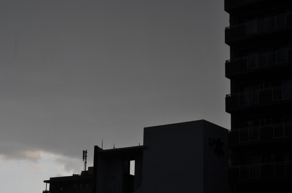 shutterstock_1088902496