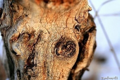 fd48846bd808d7b5535fe58abfcae312