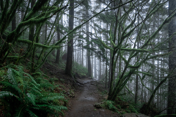 shutterstock_1644243718