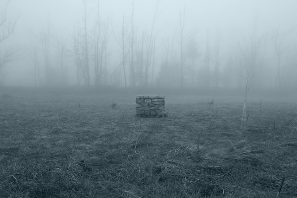 shutterstock_270400055