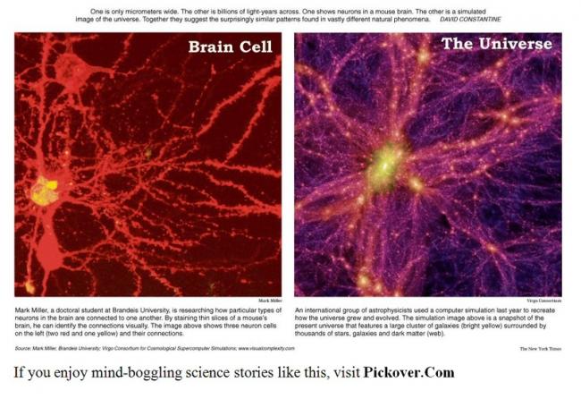 科学 大脳と宇宙は酷似していることが判明 不思議 Net 科学 大脳と宇宙は酷似していることが判明 不思議 Net