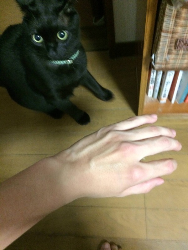 no title