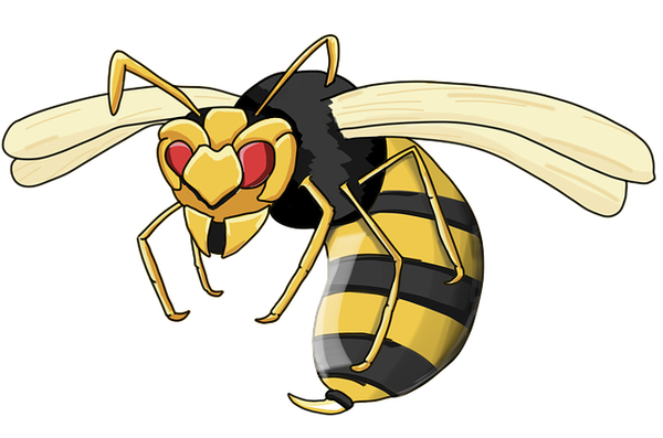 wasp-2570716_640