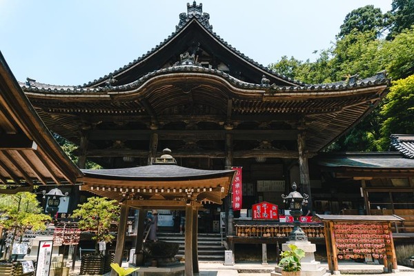 ajisai-dsc06756-q_TP_V4