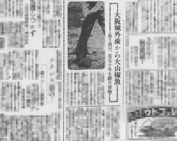 大阪城の主