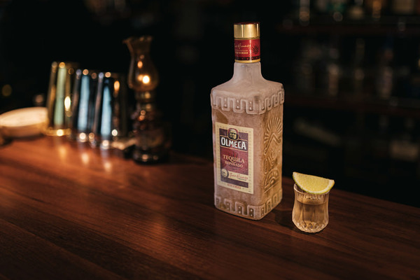 IBUS458A1930_TP_V4 (1)