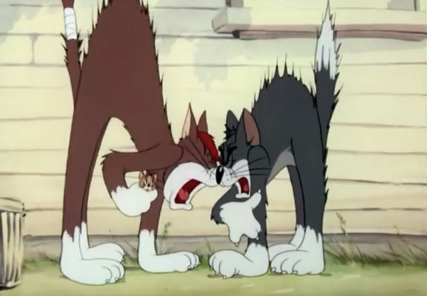 no title