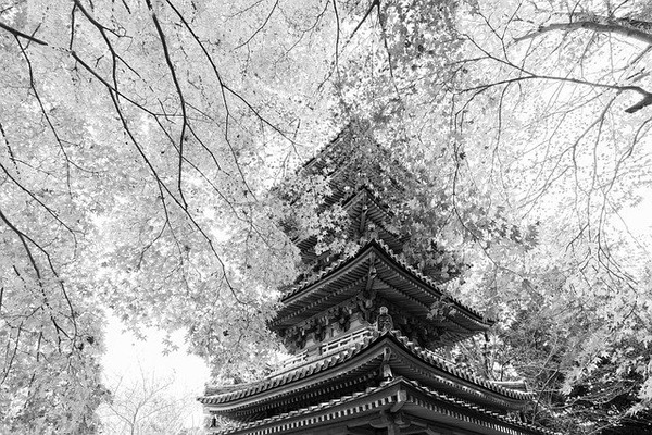 temple-5765518_640