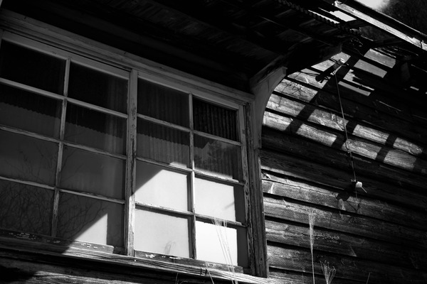 shutterstock_1327214417