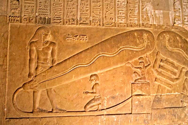 ピラミッド　電球