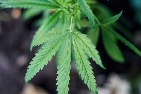 shutterstock_1573679773