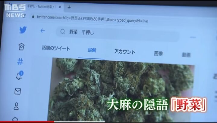 悲報 日本の大麻汚染 ヤバすぎる ろいアンテナ 悲報 日本の大麻汚染 ヤバすぎる ろいアンテナ