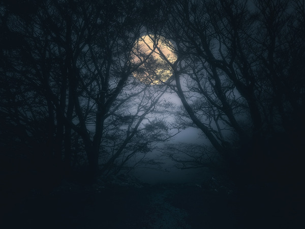 shutterstock_750099091