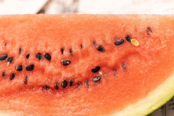 watermelon2028_TP_V4