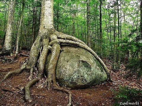 c691f0d500130fe7fdc84f6c38a23c84