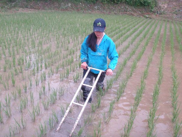 7841b6e4c7cf84a443c7c933e59f02f9