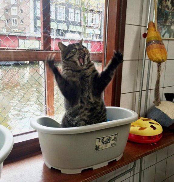 no title
