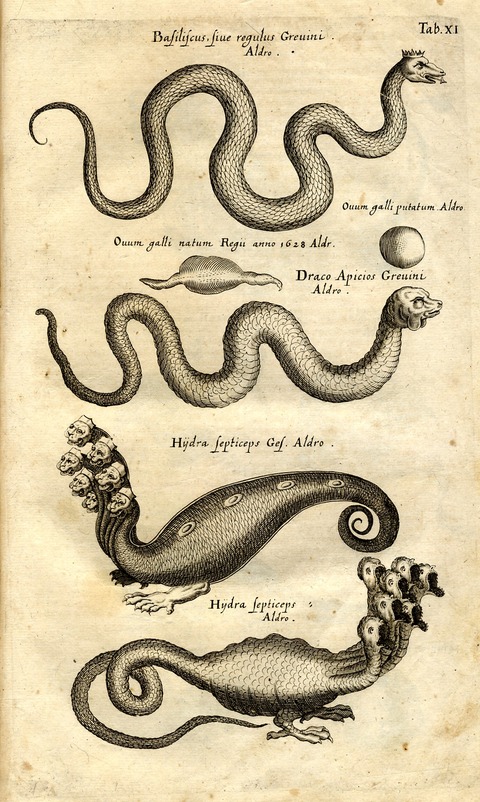 20120614010007_274_23