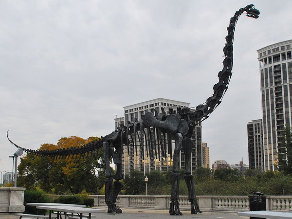 1280px-FMNH_Brachiosaurus