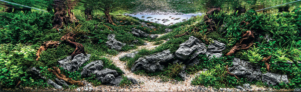 aquarium-4