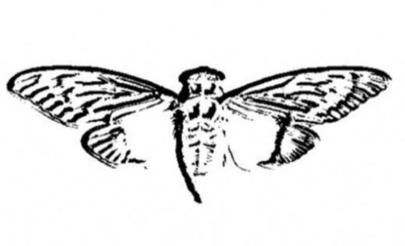 d5df33ea