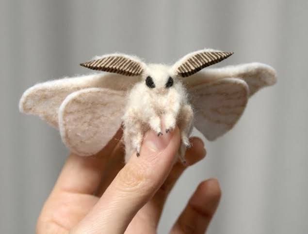 閲覧注意 世界一かっこいい昆虫 決まる 不思議 Net 閲覧注意 世界一かっこいい昆虫 決まる 不思議 Net