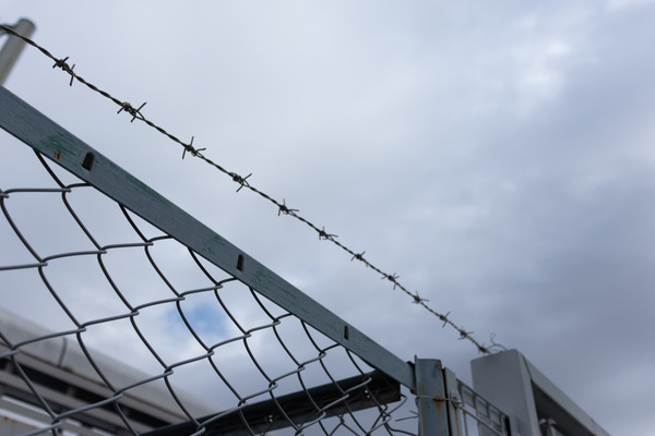 shutterstock_1562962435