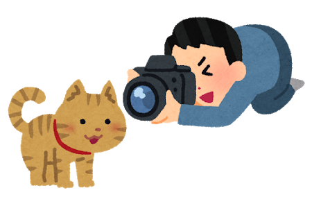 camera_cat