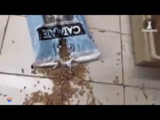 CsTP5iq
