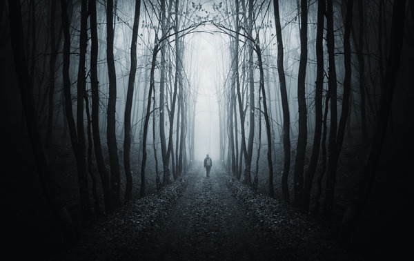 shutterstock_96312212