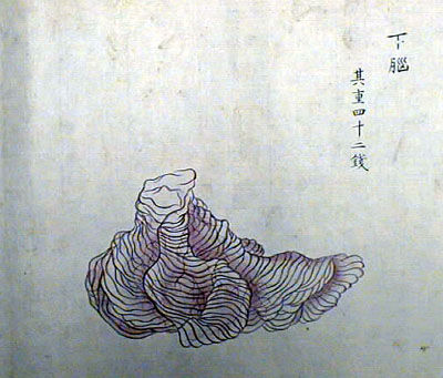 20120614010007_274_10