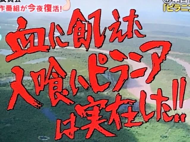 悲報 藤岡弘探検隊 ガチで人死にが出る寸前だった 不思議 Net