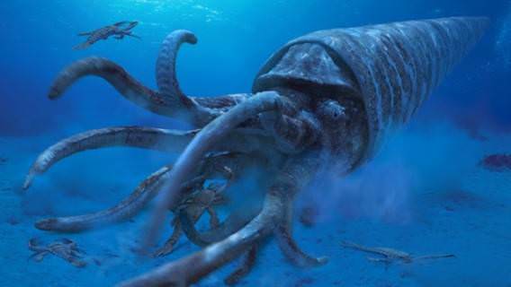 深海 巨大生物 この２つ ワクワクするんだが分かる奴いる 画像あり 不思議 Net