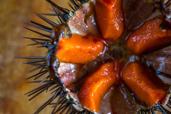 shutterstock_599312033